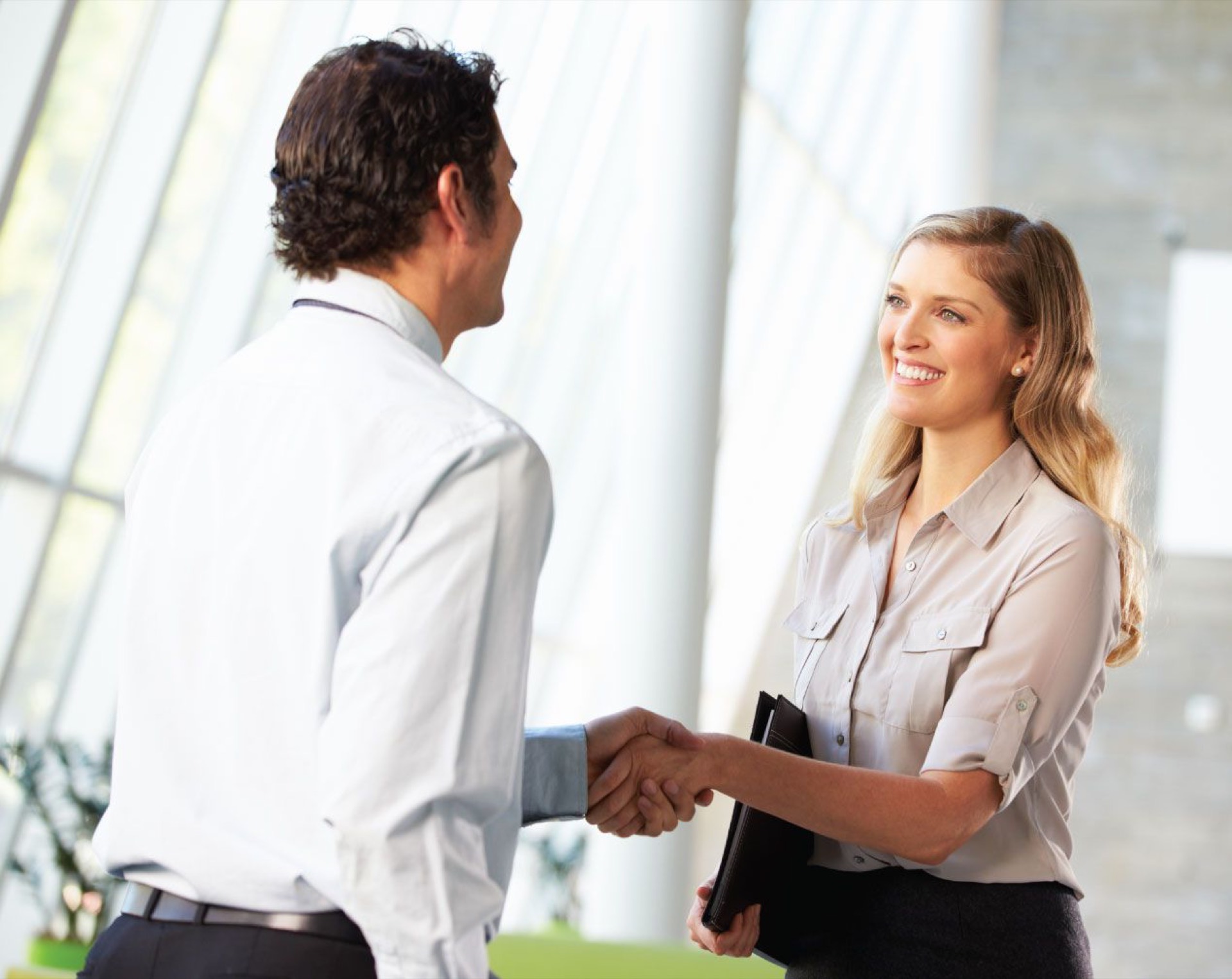 Professionals shaking hands